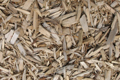 biomass boilers Ardpeaton